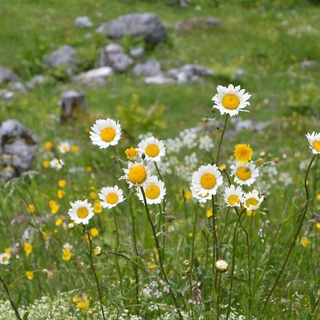 Appartamento Gloesalm Ramsau am Dachstein Esterno foto