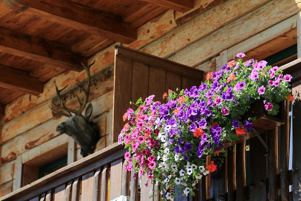 Appartamento Gloesalm Ramsau am Dachstein Esterno foto