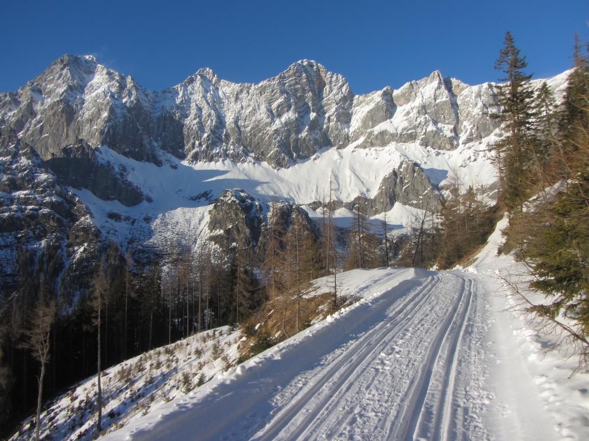 Appartamento Gloesalm Ramsau am Dachstein Esterno foto