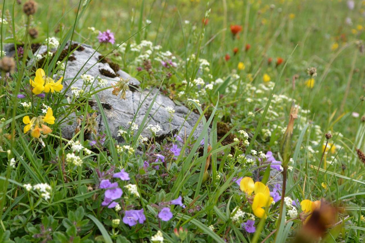 Appartamento Gloesalm Ramsau am Dachstein Esterno foto